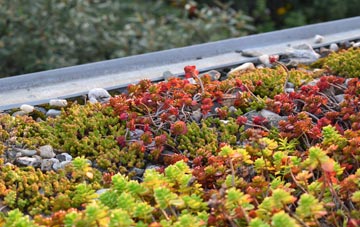 the cost of Easthampton green roof installation